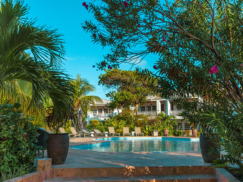 The Reef House pool is set in the relaxing environment of a tropical garden.