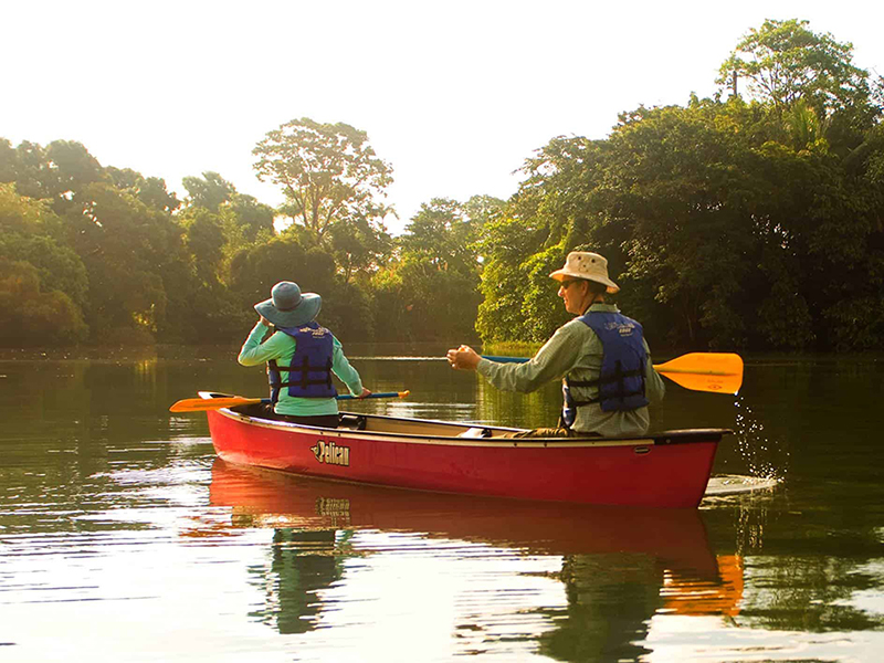 Coastal Estuaries, rivers and mangrove forests offer near-endless opportunities for exploration. Coastal Estuaries, rivers and mangrove forests offer near-endless opportunities for exploration.