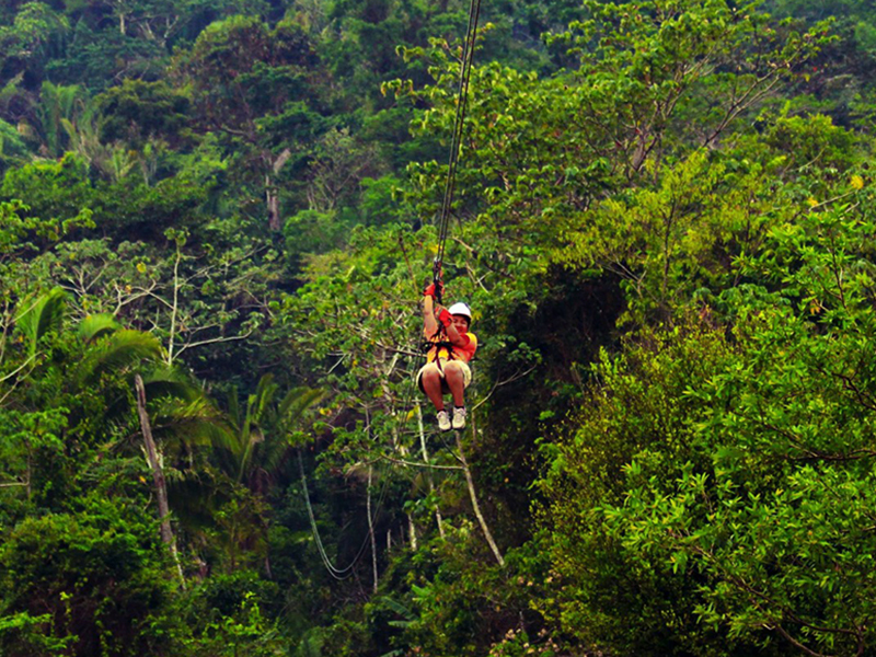 Zipline courses are a favorite addition to eco tours. Zipline courses are a favorite addition to eco tours.