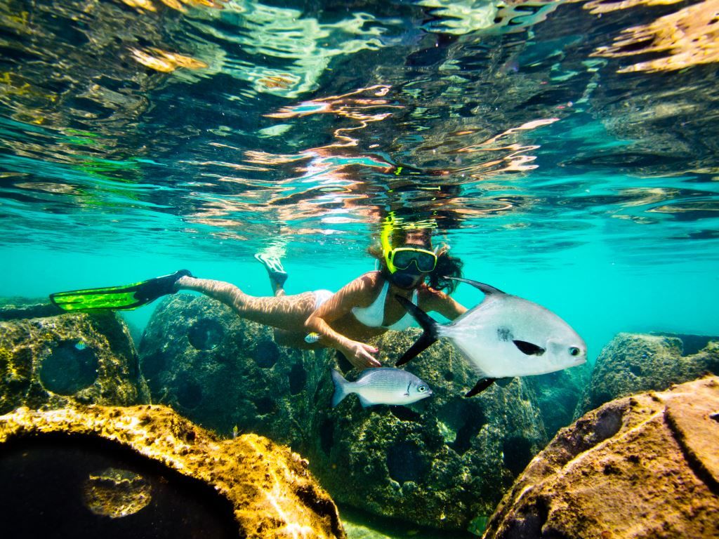 Snorkeling in the Cayman Islands