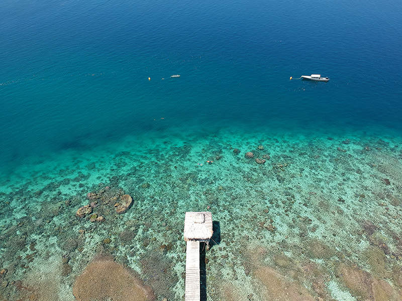 The resort jetty provides easy, secure access to the house reef in all tide conditions. The resort jetty provides easy, secure access to the house reef in all tide conditions.