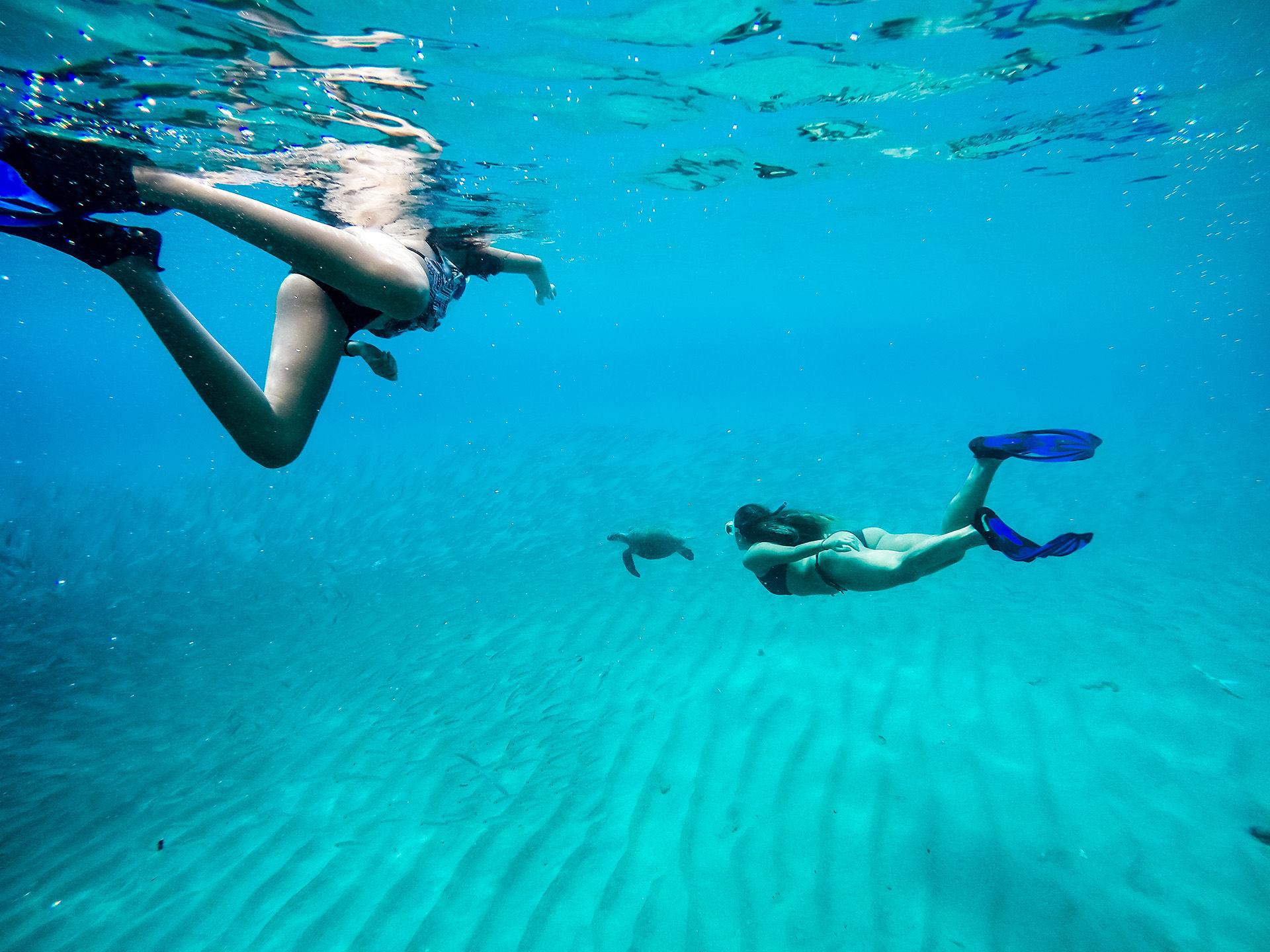 Snorkeling in Curacao Snorkeling in Curacao