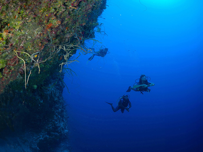 A mile-deep wall lies just off the southern shore of Cat Island. A mile-deep wall lies just off the southern shore of Cat Island.
