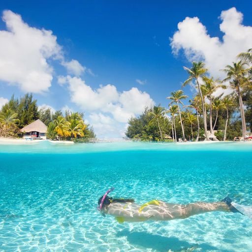 Snorkeling in Hawaii