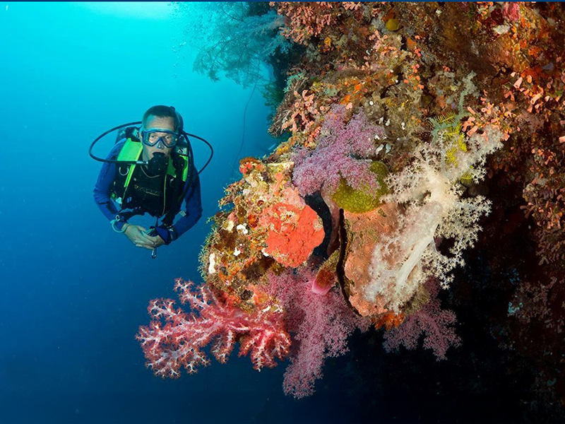 Dive sites include hard coral reefs and walls.
