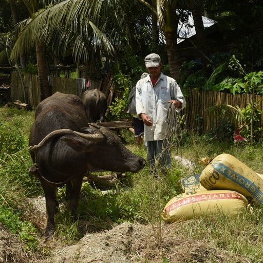 Cultural Activities in the Philippines