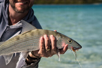 Andros offers world-class bone fishing. Andros offers world-class bone fishing.