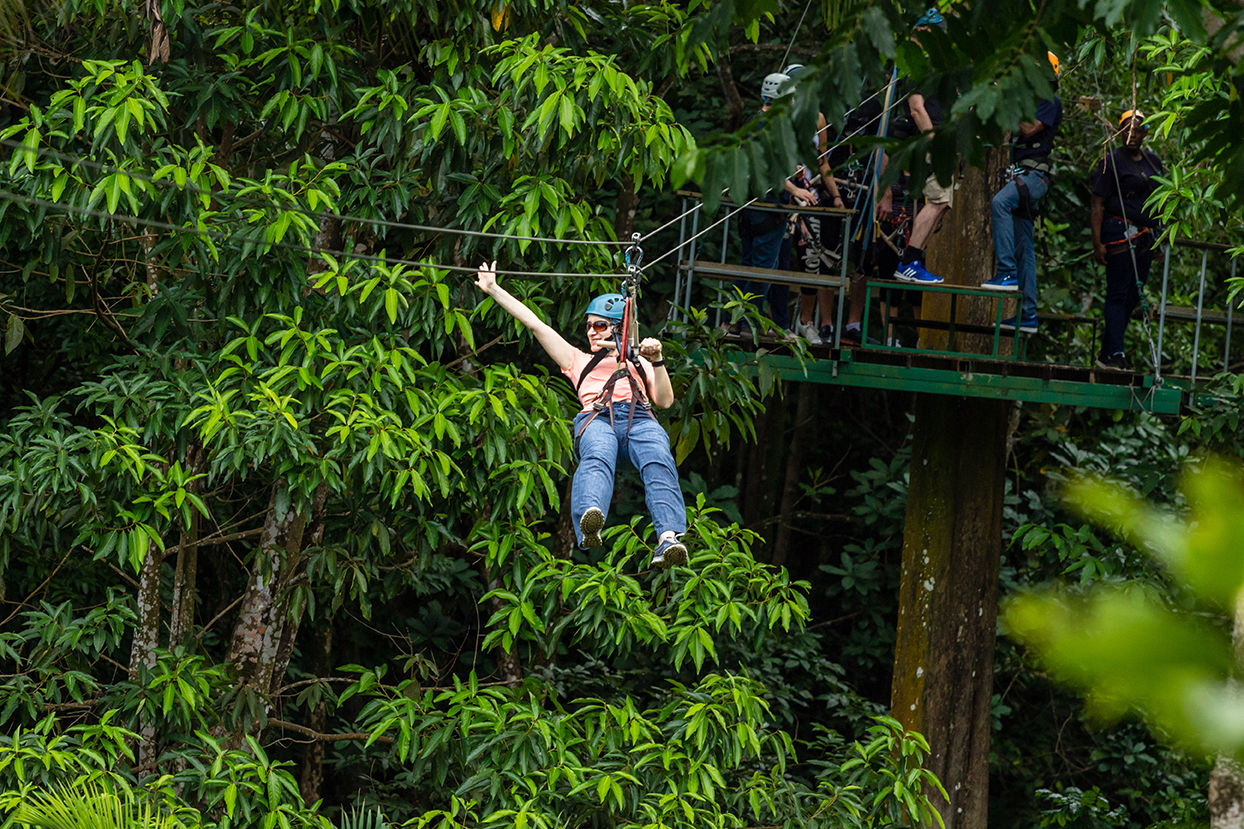 Ziplining in St. Lucia Ziplining in St. Lucia