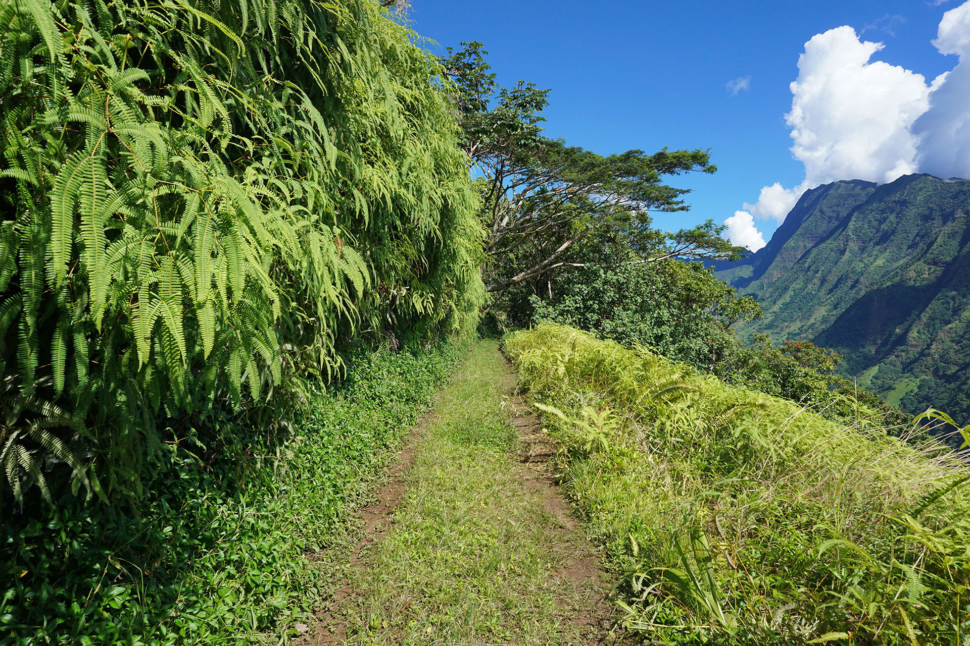 Offroading in Tahiti Offroading in Tahiti