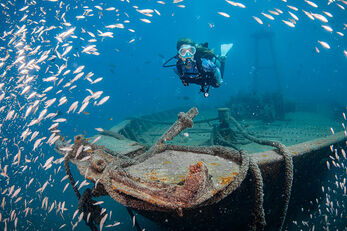 The Espíritu Santo offers several shipwrecks. The Espíritu Santo offers several shipwrecks.